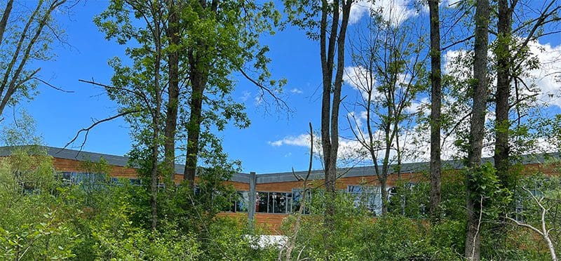 Cornell Bird Lab Forest View
